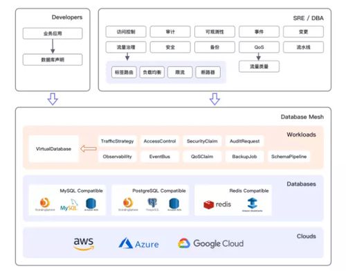 云原生浪潮下的数据库服务治理 挑战、策略与未来